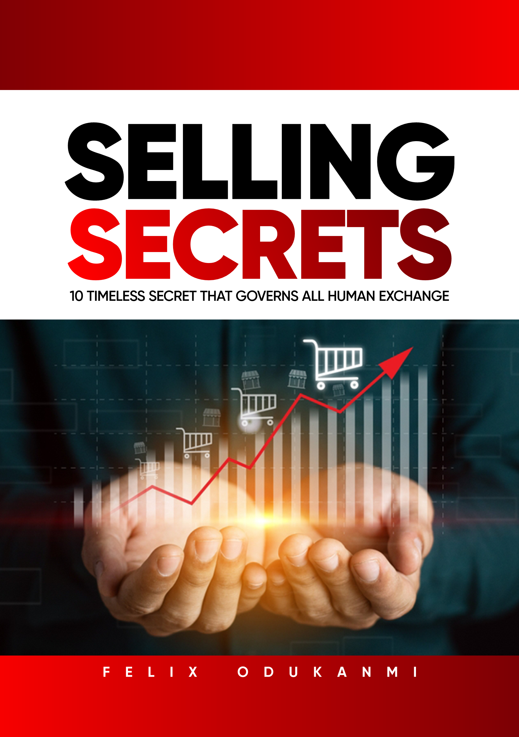 Selling secrets book cover